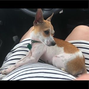 Meet your Posher, Alina